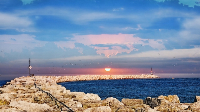 天博体育官网半月型的健身弯腰器材