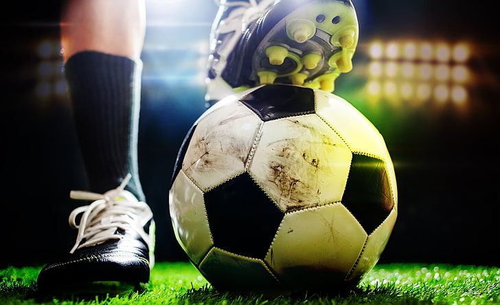 天博体育官方平台入口无氧运动器材